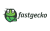 Fastgecko